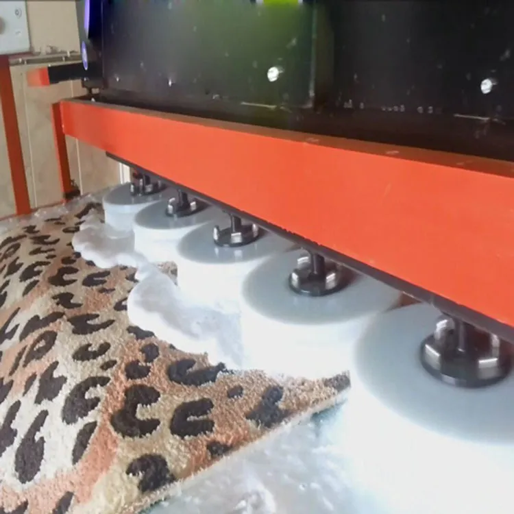 Carpet Shamp Uygulama Görseli